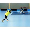 Joueurs et Gardiens