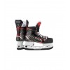 Patins