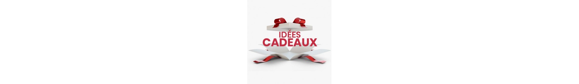 🎁 Idées Cadeaux Hockey & Patinage – Jeux, Goodies & Accessoires